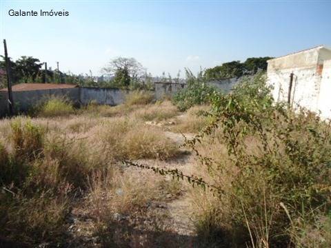 Terreno em Ponte Preta, Campinas - Terreno - Ponte Preta - Foto 2