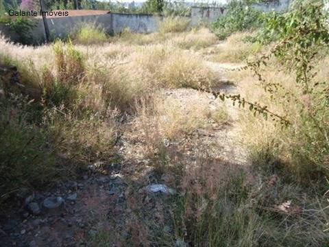 Terreno em Ponte Preta, Campinas - Terreno - Ponte Preta - Foto 8