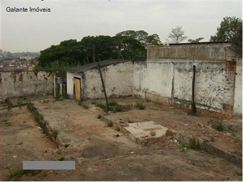Terreno em Ponte Preta, Campinas - Terreno - Ponte Preta - Foto 7