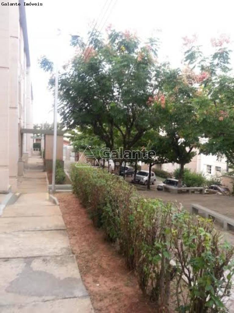 Apartamento em São Bernardo, Campinas - Apartamento - São Bernardo - Foto 6