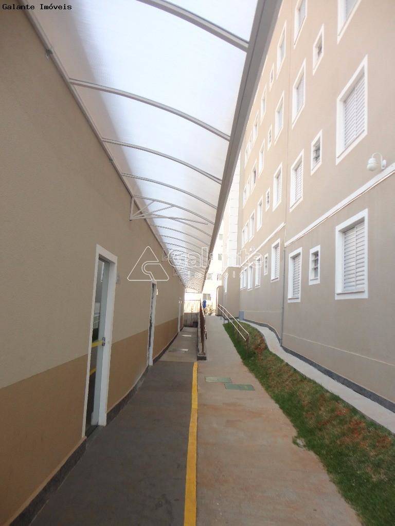 Apartamento em Parque Jambeiro, Campinas - Apartamento - Parque Jambeiro - Foto 21
