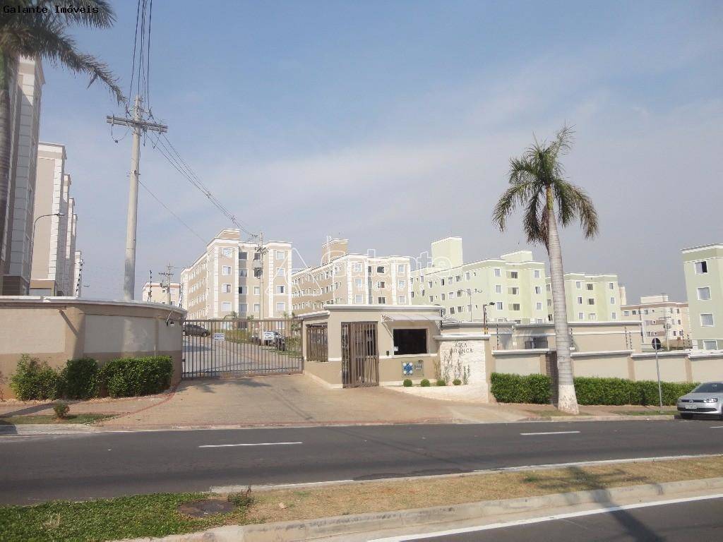 Apartamento em Parque Jambeiro, Campinas - Apartamento - Parque Jambeiro - Foto 20