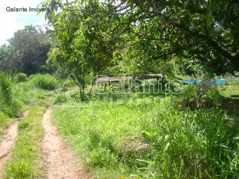 Terreno em Sousas, Campinas - Terreno - Sousas - Foto 6