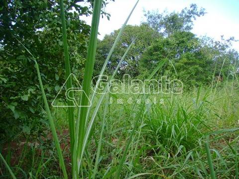 Terreno em Sousas, Campinas - Terreno - Sousas - Foto 5