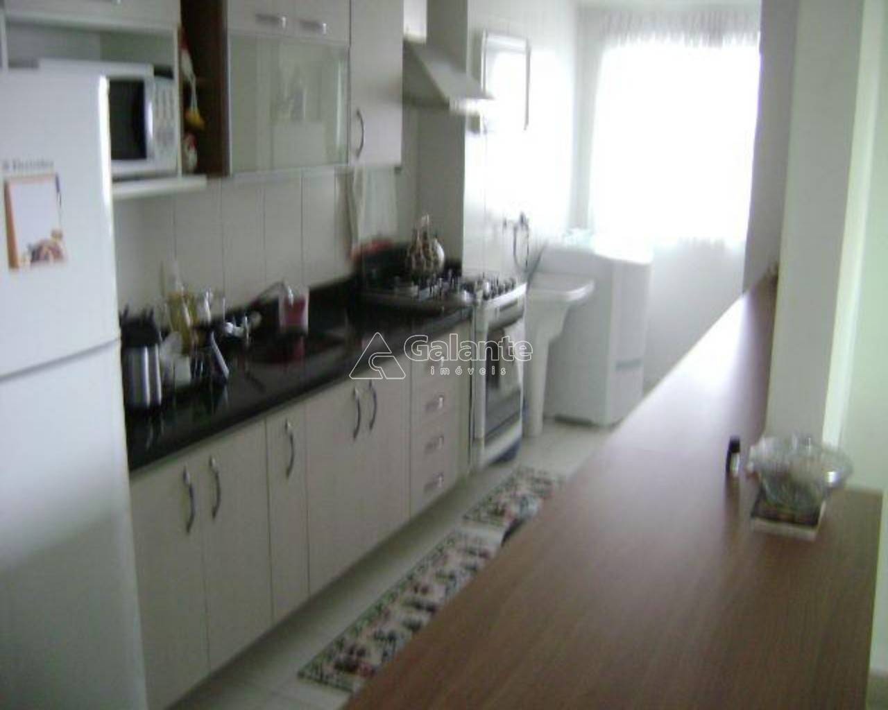 Apartamento em Swift, Campinas - Apartamento - Swift - Foto 3