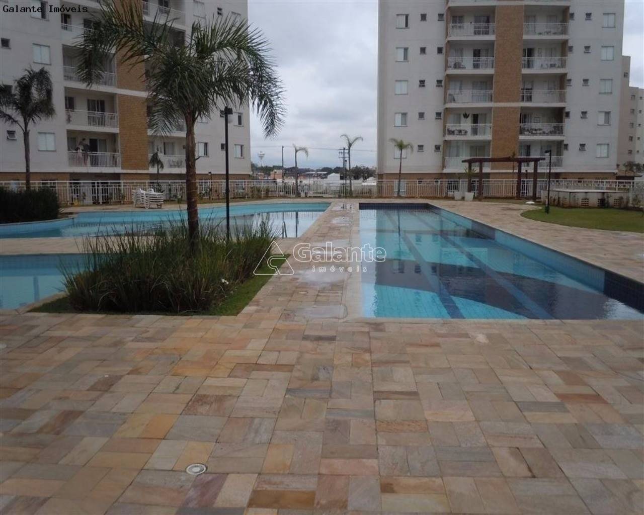 Apartamento em Swift, Campinas - Apartamento - Swift - Foto 1