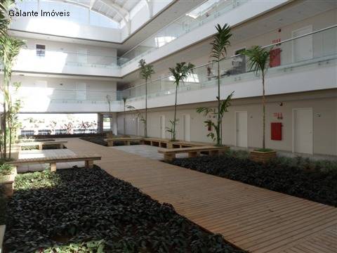 Comercial/Industrial em Swiss Park, Campinas - Comercial/Industrial - Swiss Park - Foto 4