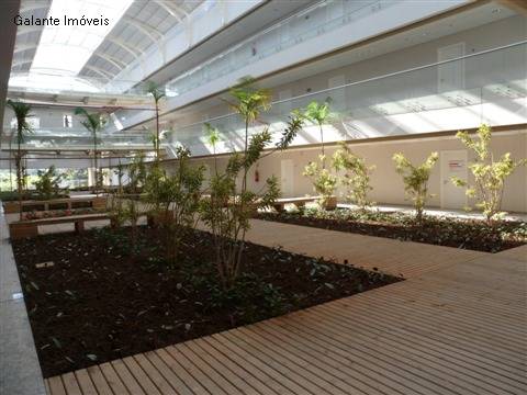 Comercial/Industrial em Swiss Park, Campinas - Comercial/Industrial - Swiss Park - Foto 9