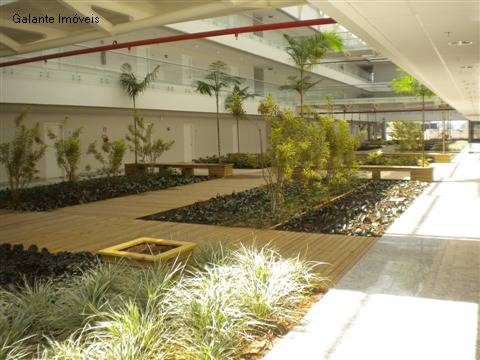 Comercial/Industrial em Swiss Park, Campinas - Comercial/Industrial - Swiss Park - Foto 9