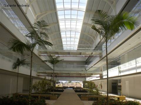 Comercial/Industrial em Swiss Park, Campinas - Comercial/Industrial - Swiss Park - Foto 1