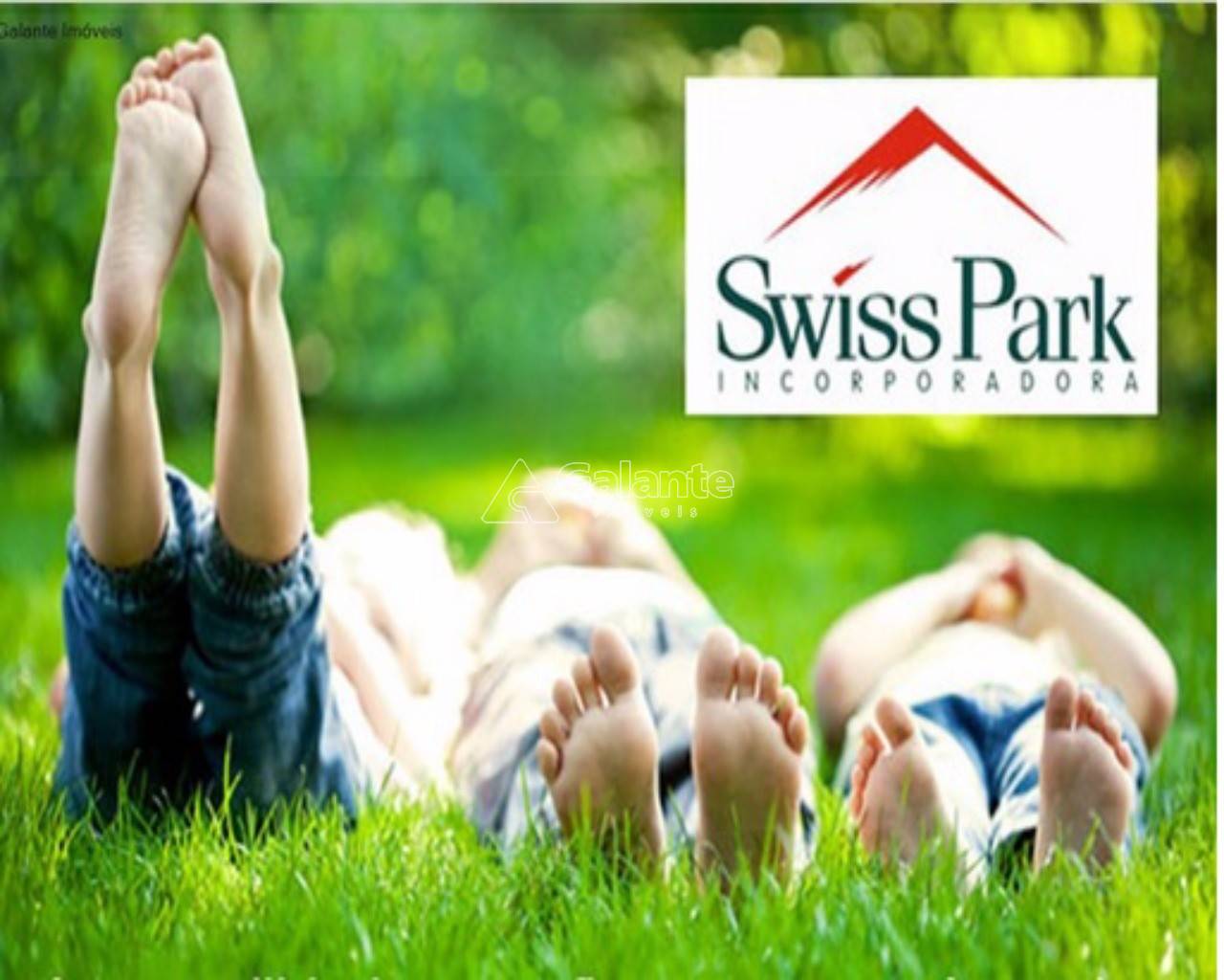 Terreno em Swiss Park, Campinas - Terreno - Swiss Park - Foto 3
