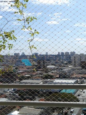 Apartamento em Taquaral, Campinas - Foto 12