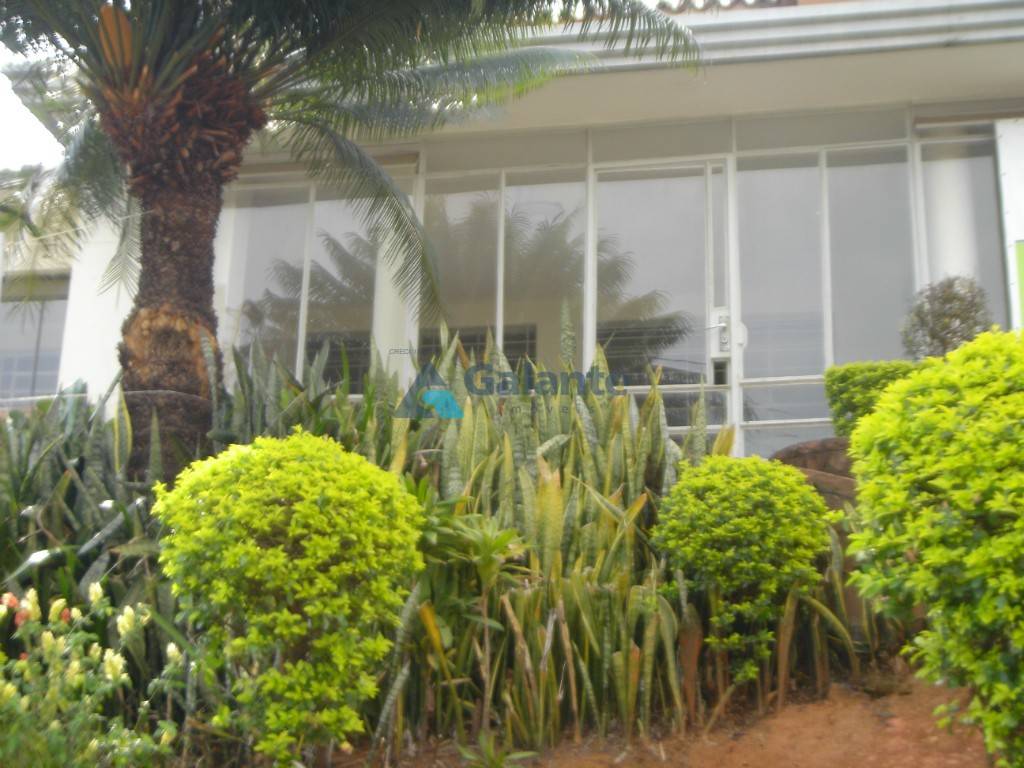 Comercial/Industrial em Taquaral, Campinas - Comercial/Industrial - Taquaral - Foto 1