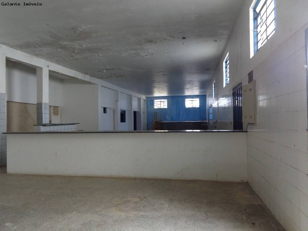 Comercial/Industrial em Taquaral, Campinas - Comercial/Industrial - Taquaral - Foto 1