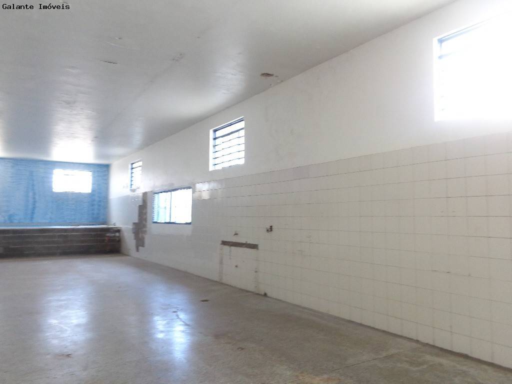 Comercial/Industrial em Taquaral, Campinas - Comercial/Industrial - Taquaral - Foto 2