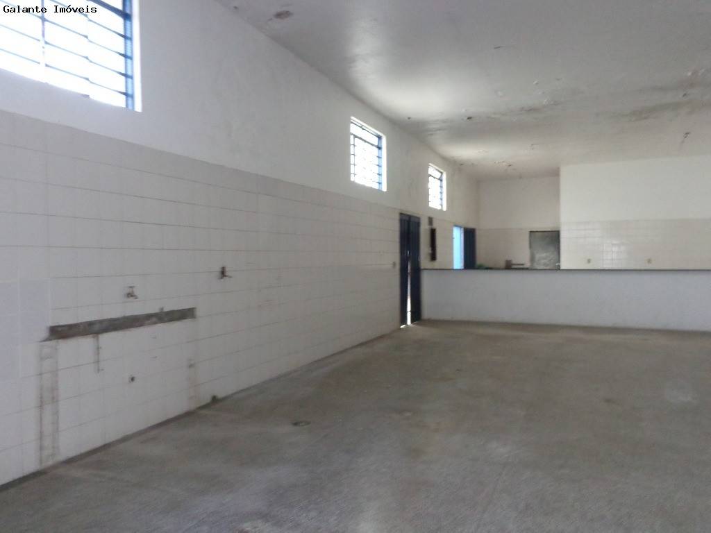 Comercial/Industrial em Taquaral, Campinas - Comercial/Industrial - Taquaral - Foto 22