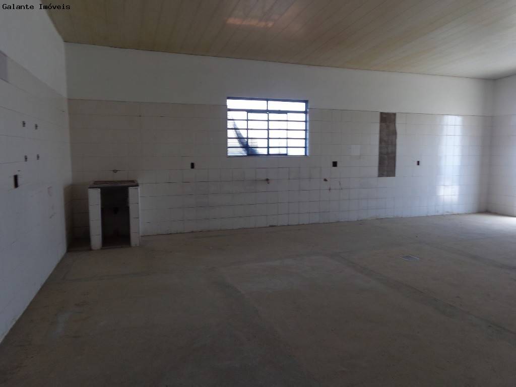 Comercial/Industrial em Taquaral, Campinas - Comercial/Industrial - Taquaral - Foto 16