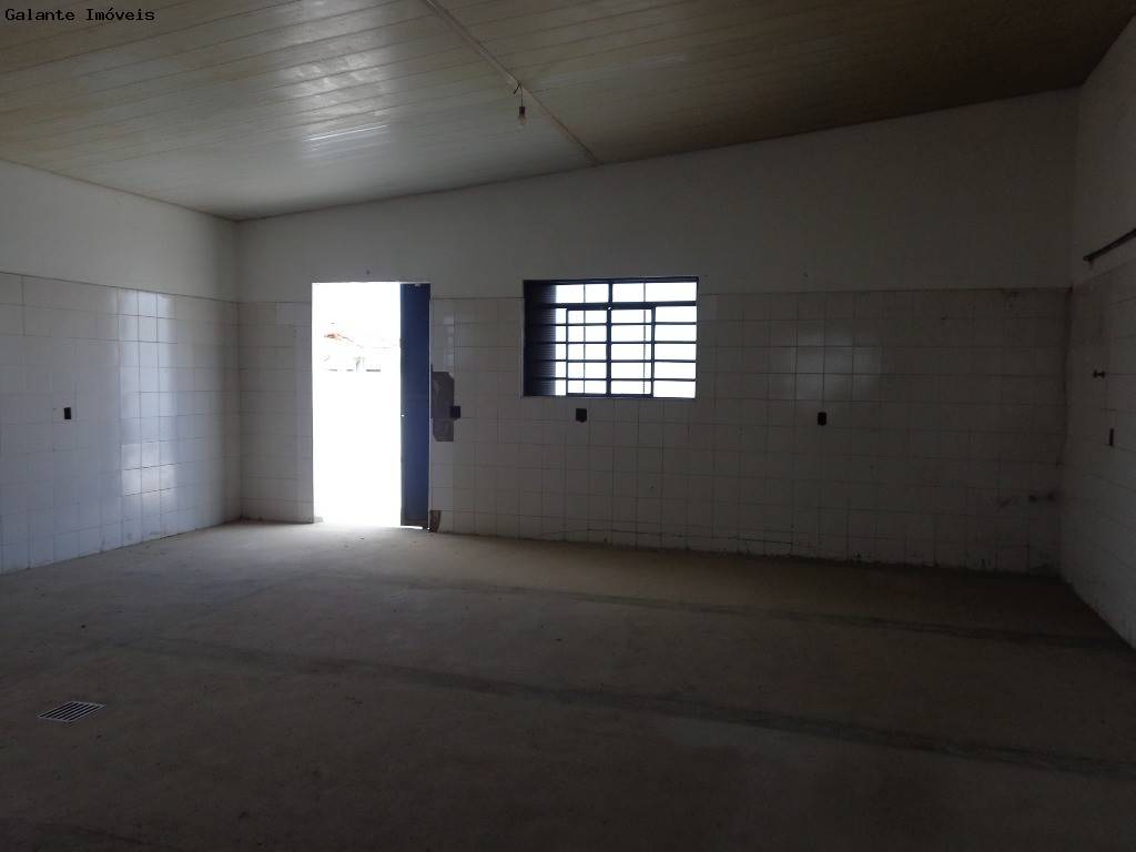 Comercial/Industrial em Taquaral, Campinas - Comercial/Industrial - Taquaral - Foto 4