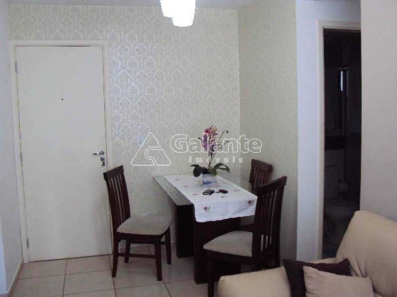 Apartamento em Vila Trinta E Um de Março, Campinas - Foto 9
