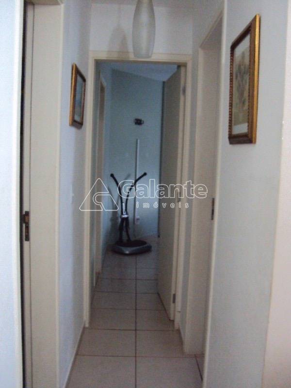 Apartamento em Vila Trinta E Um de Março, Campinas - Apartamento - Vila Trinta E Um de Março - Foto 2