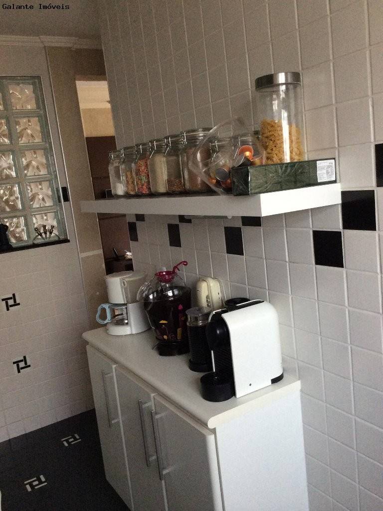 Apartamento em Vila Georgina, Campinas - Foto 4