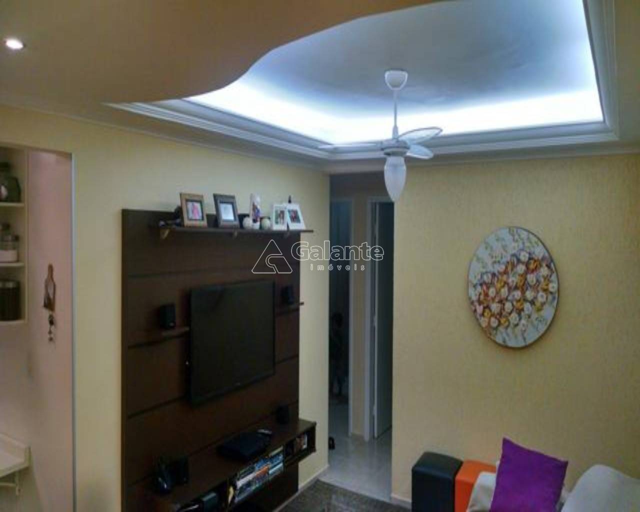 Apartamento em Vila Industrial, Campinas - Apartamento - Vila Industrial - Foto 3