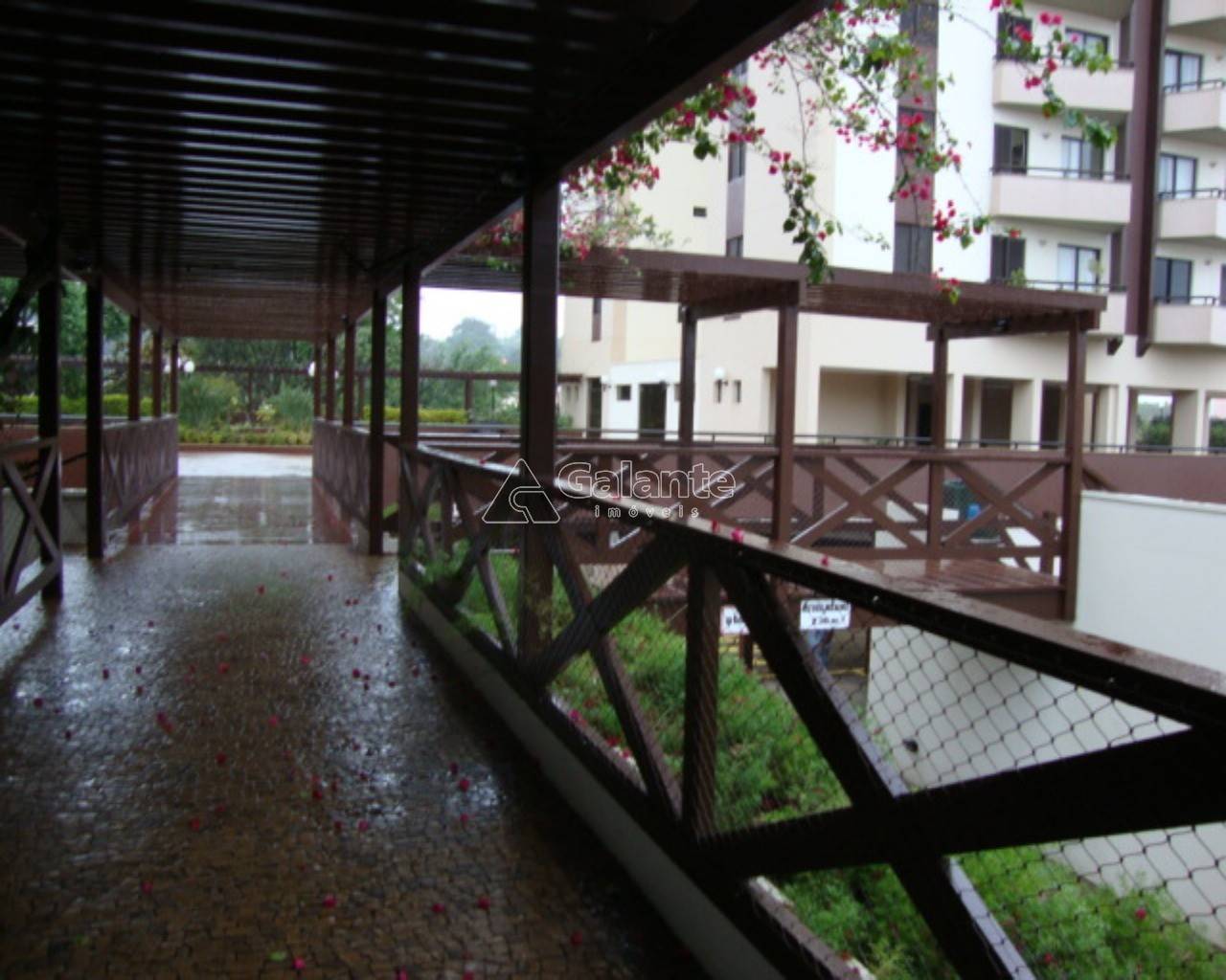 Apartamento em Vila Industrial, Campinas - Apartamento - Vila Industrial - Foto 3