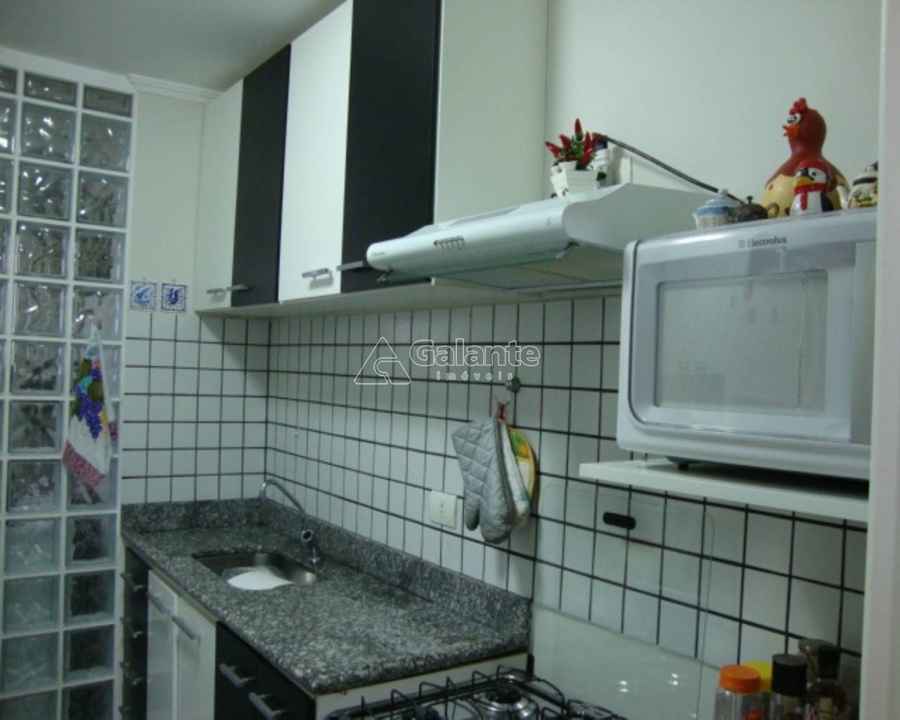 Apartamento em Vila Industrial, Campinas - Apartamento - Vila Industrial - Foto 2