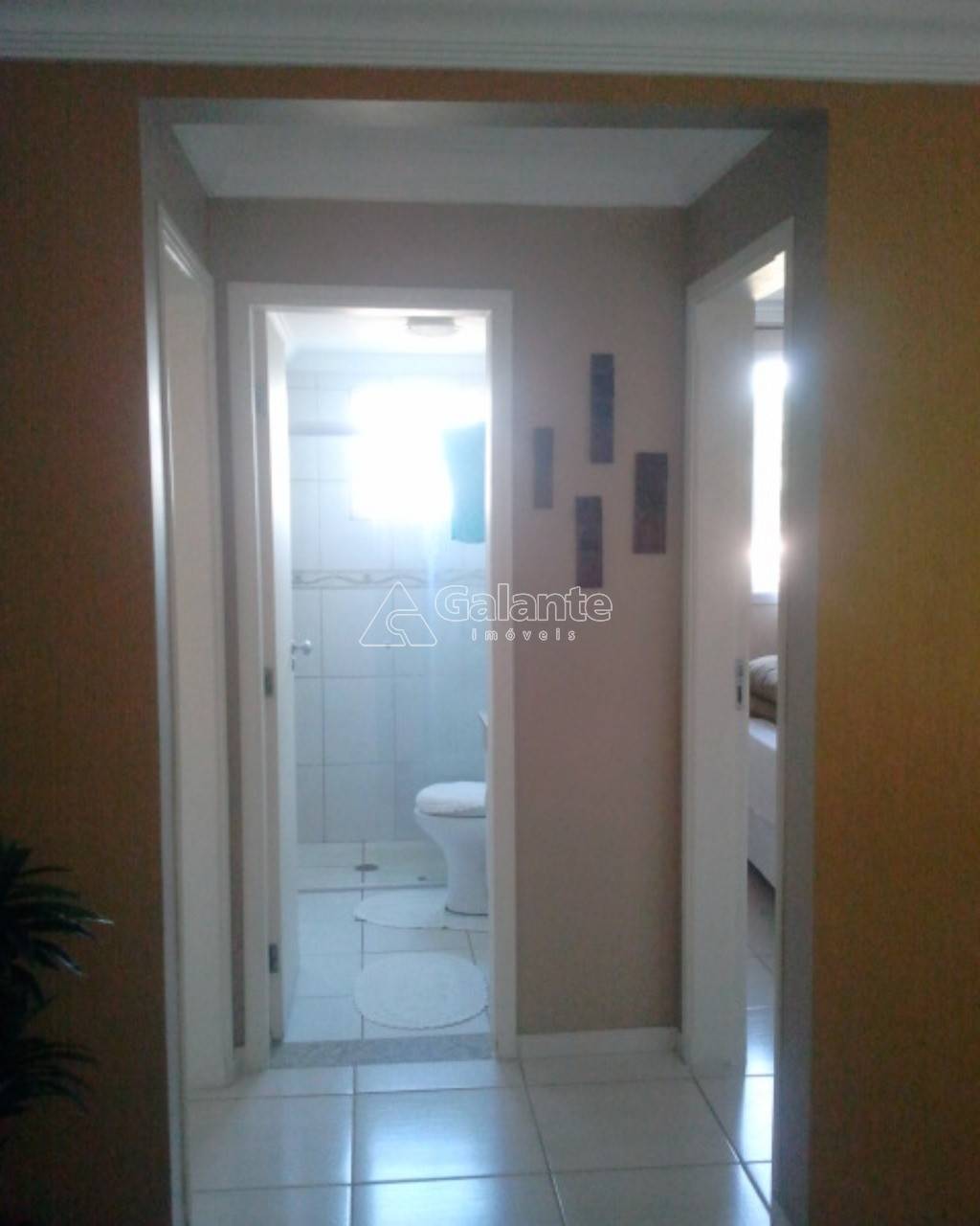 Apartamento em Vila Industrial, Campinas - Foto 5