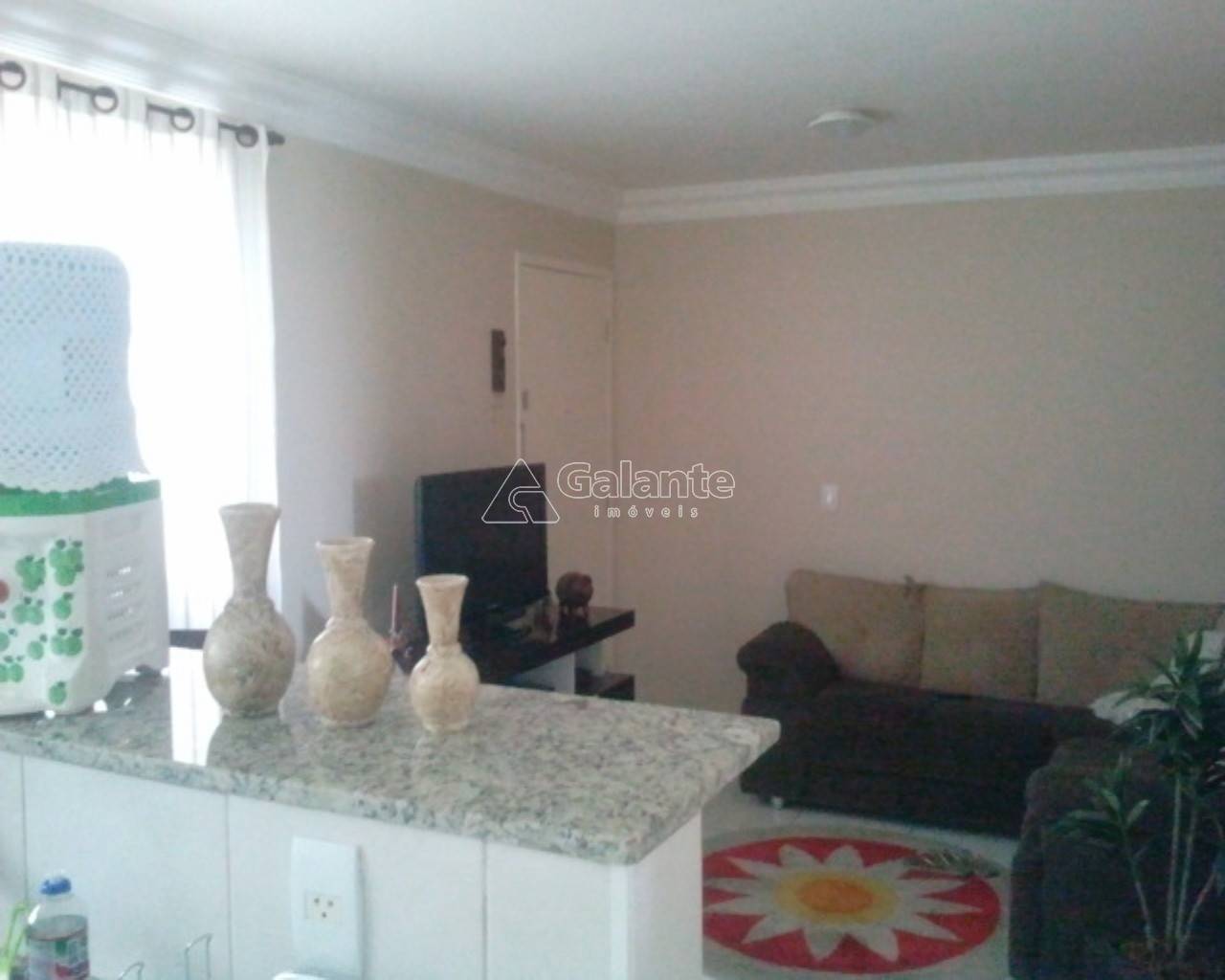 Apartamento em Vila Industrial, Campinas - Apartamento - Vila Industrial - Foto 2