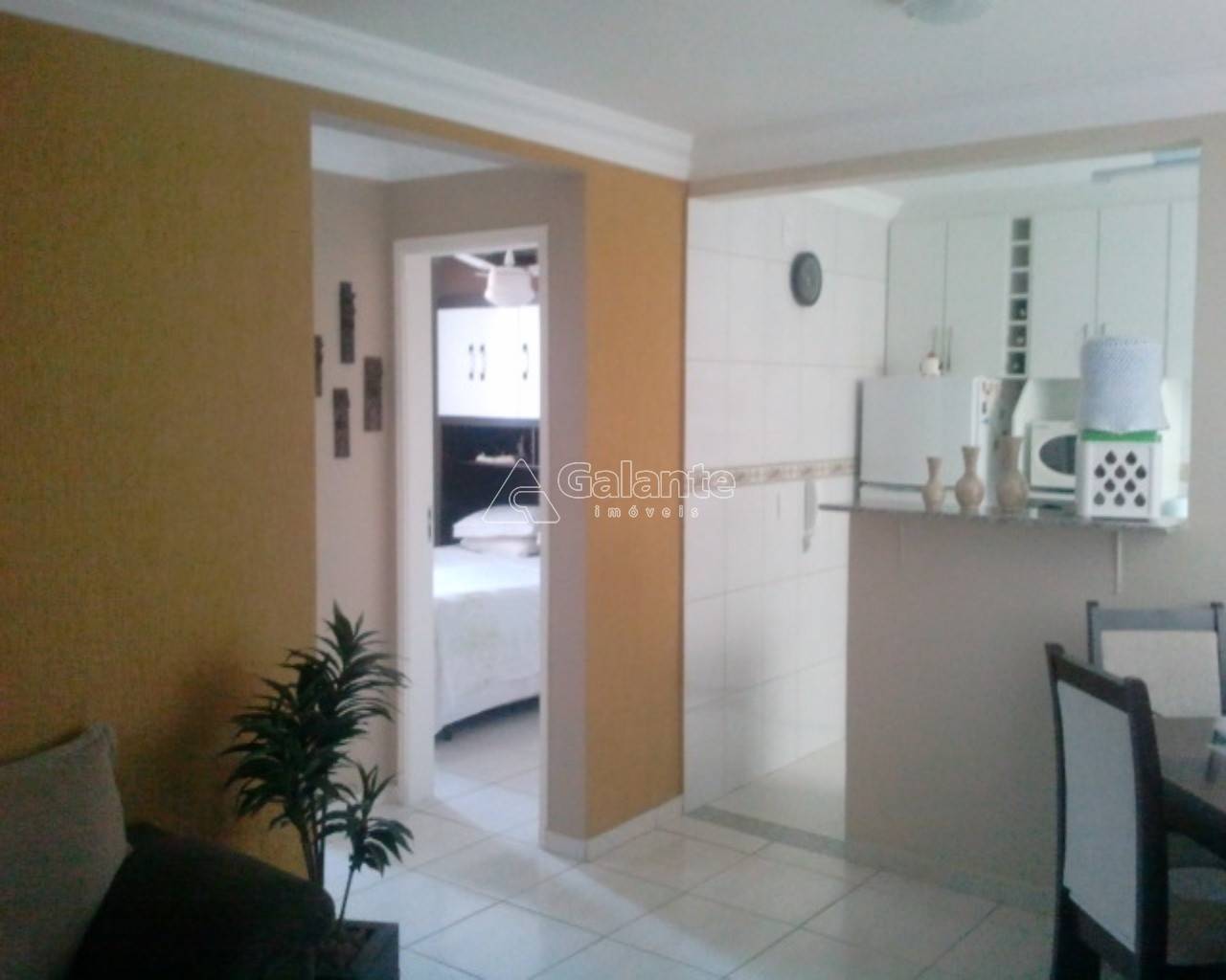 Apartamento em Vila Industrial, Campinas - Foto 4