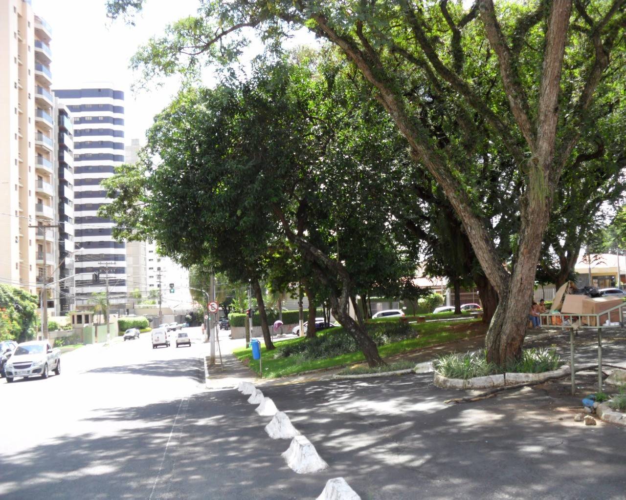 Apartamento em Jardim Proença, Campinas - Foto 10
