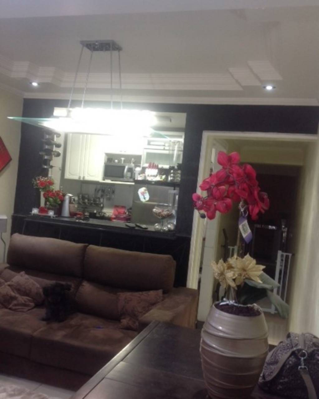 Apartamento em Vila Mimosa, Campinas - Apartamento - Vila Mimosa - Foto 2