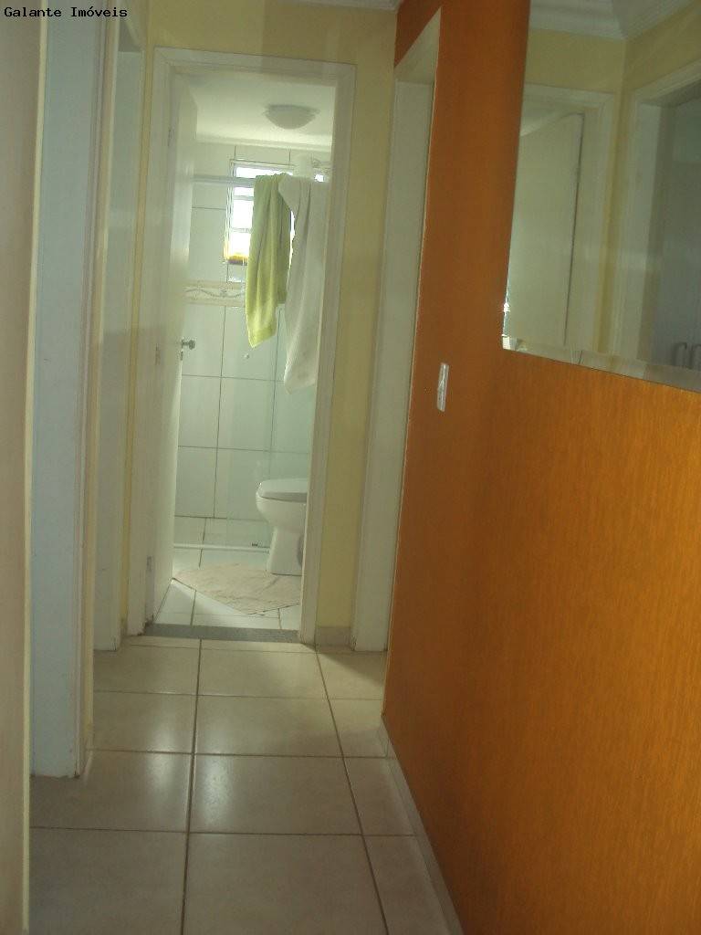 Apartamento em Vila Nova, Campinas - Apartamento - Vila Nova - Foto 2