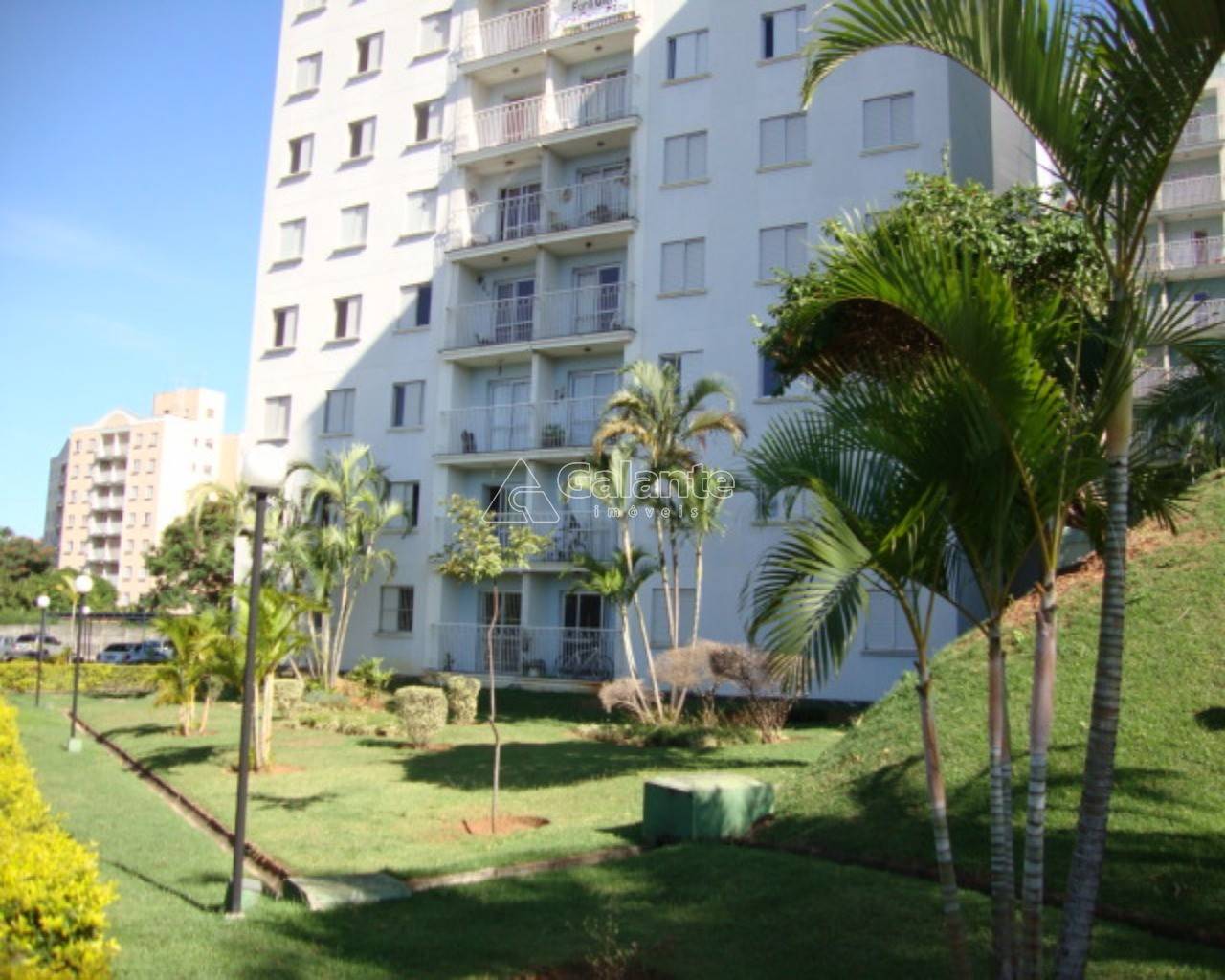 Apartamento em Vila Nova Teixeira, Campinas - Foto 8