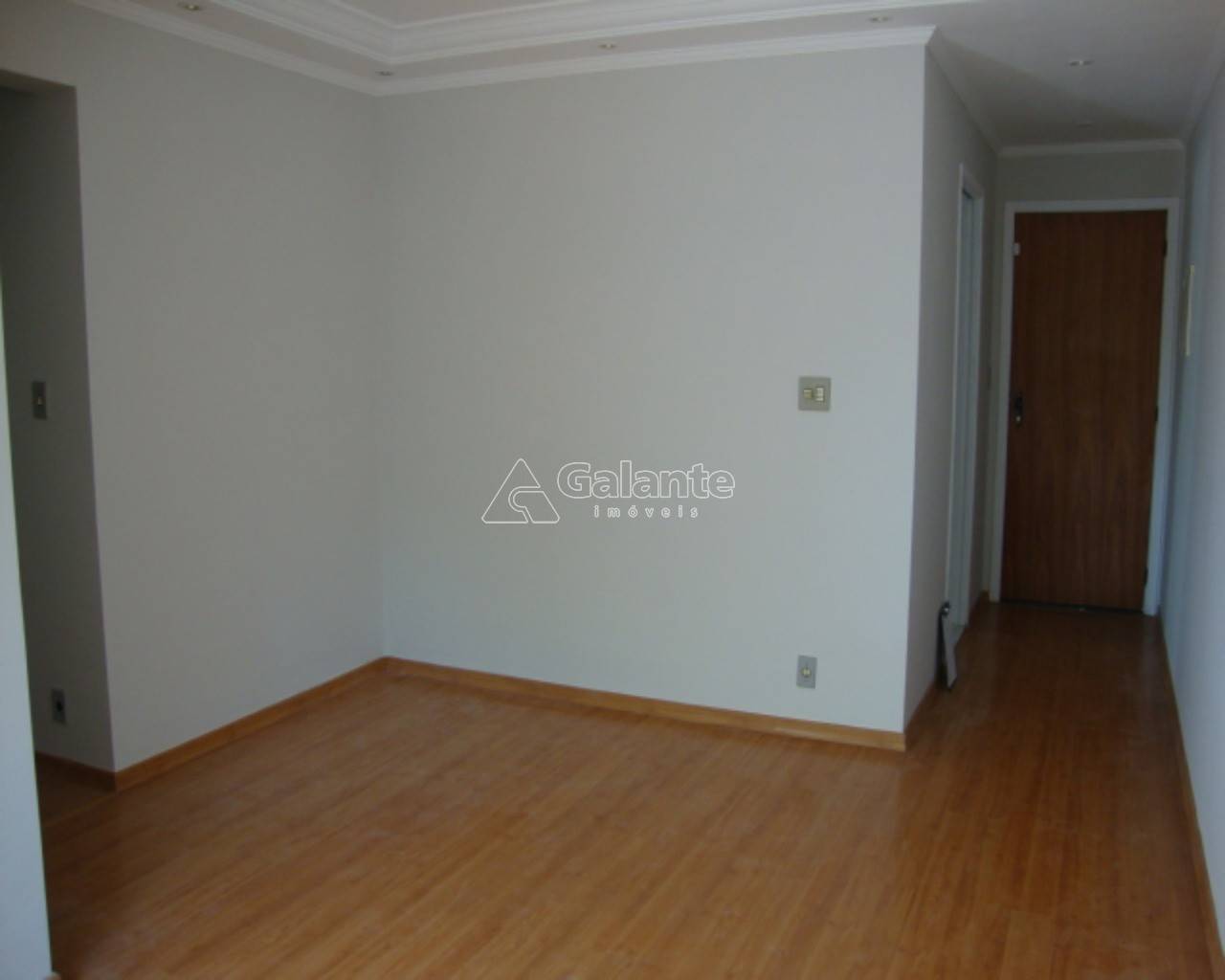 Apartamento em Vila Nova Teixeira, Campinas - Apartamento - Vila Nova Teixeira - Foto 2