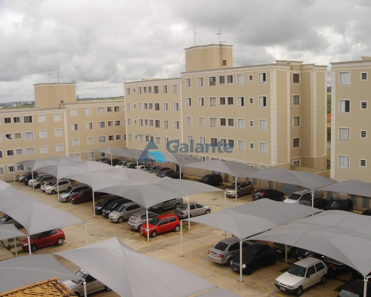 Apartamento em Vila Trinta E Um de Marco, Campinas - Apartamento - Vila Trinta E Um de Marco - Foto 1