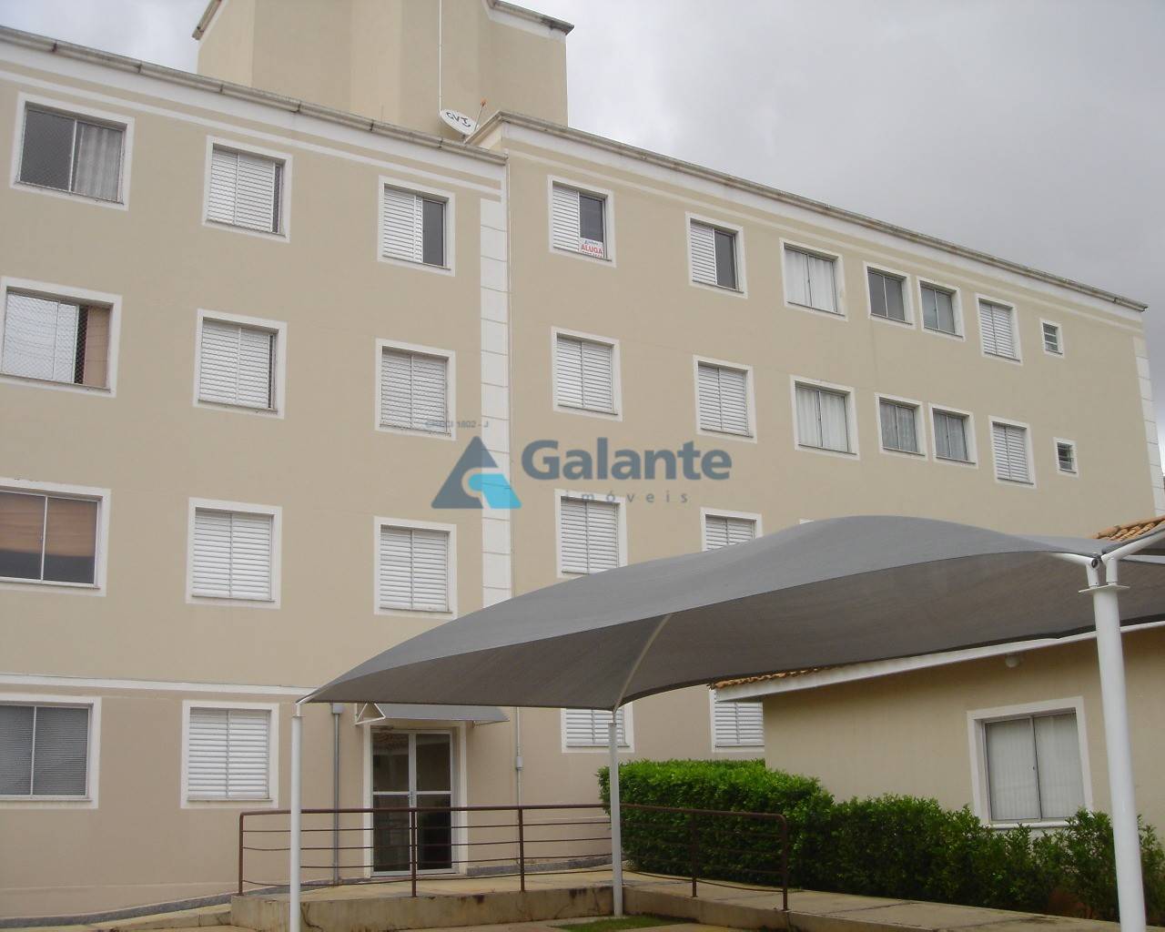 Apartamento em Vila Trinta E Um de Marco, Campinas - Apartamento - Vila Trinta E Um de Marco - Foto 10