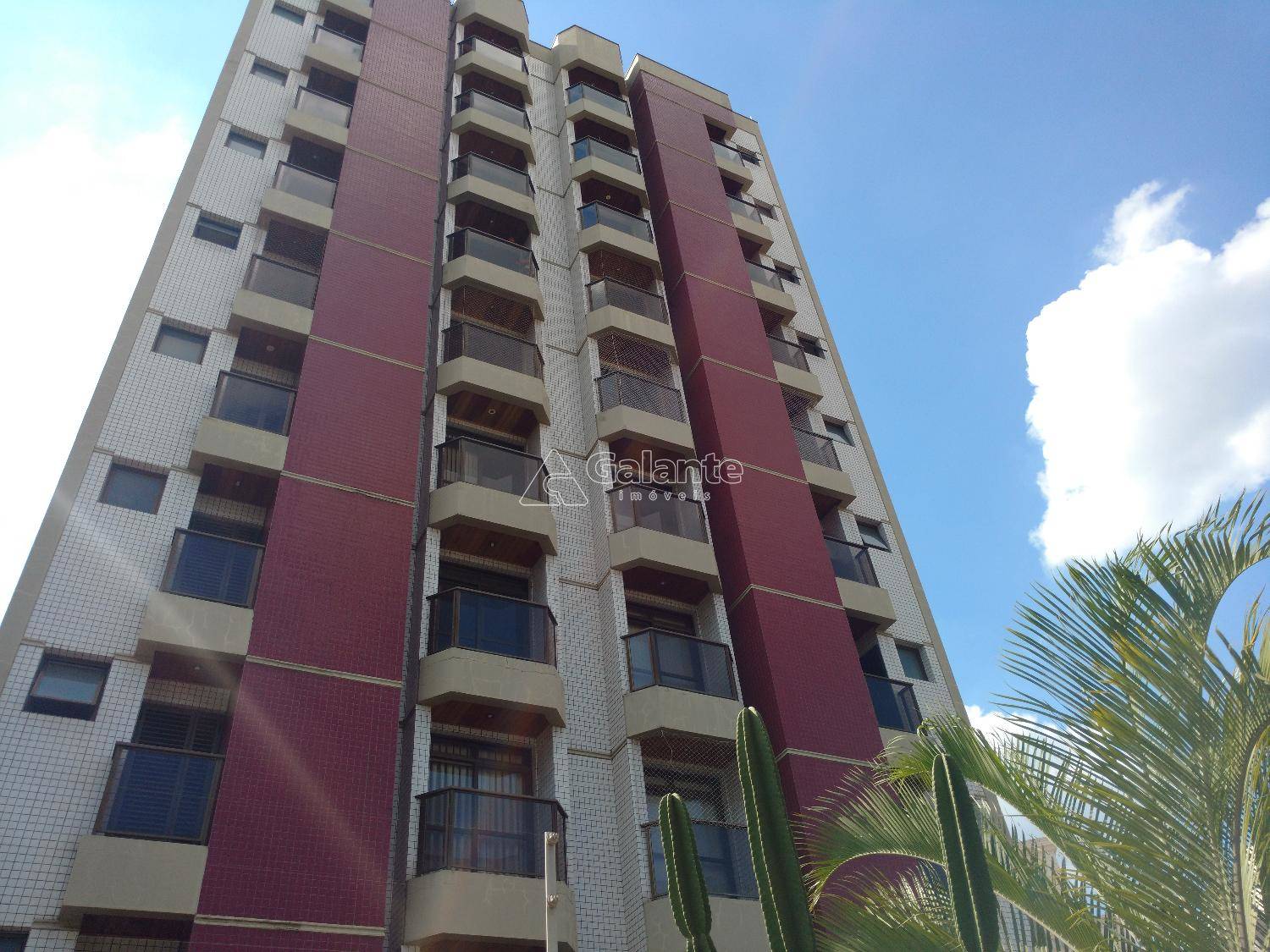 Apartamento em Cambuí, Campinas - Apartamento - Cambuí - Foto 1
