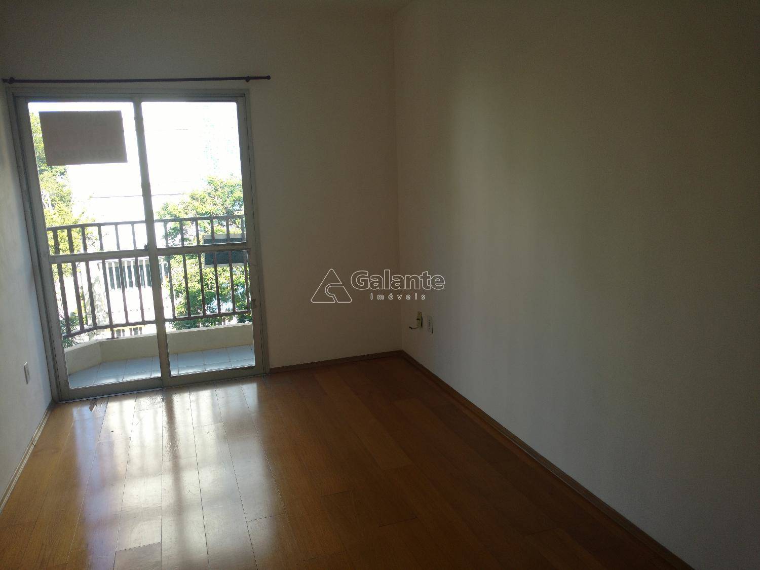 Apartamento em Cambuí, Campinas - Apartamento - Cambuí - Foto 7
