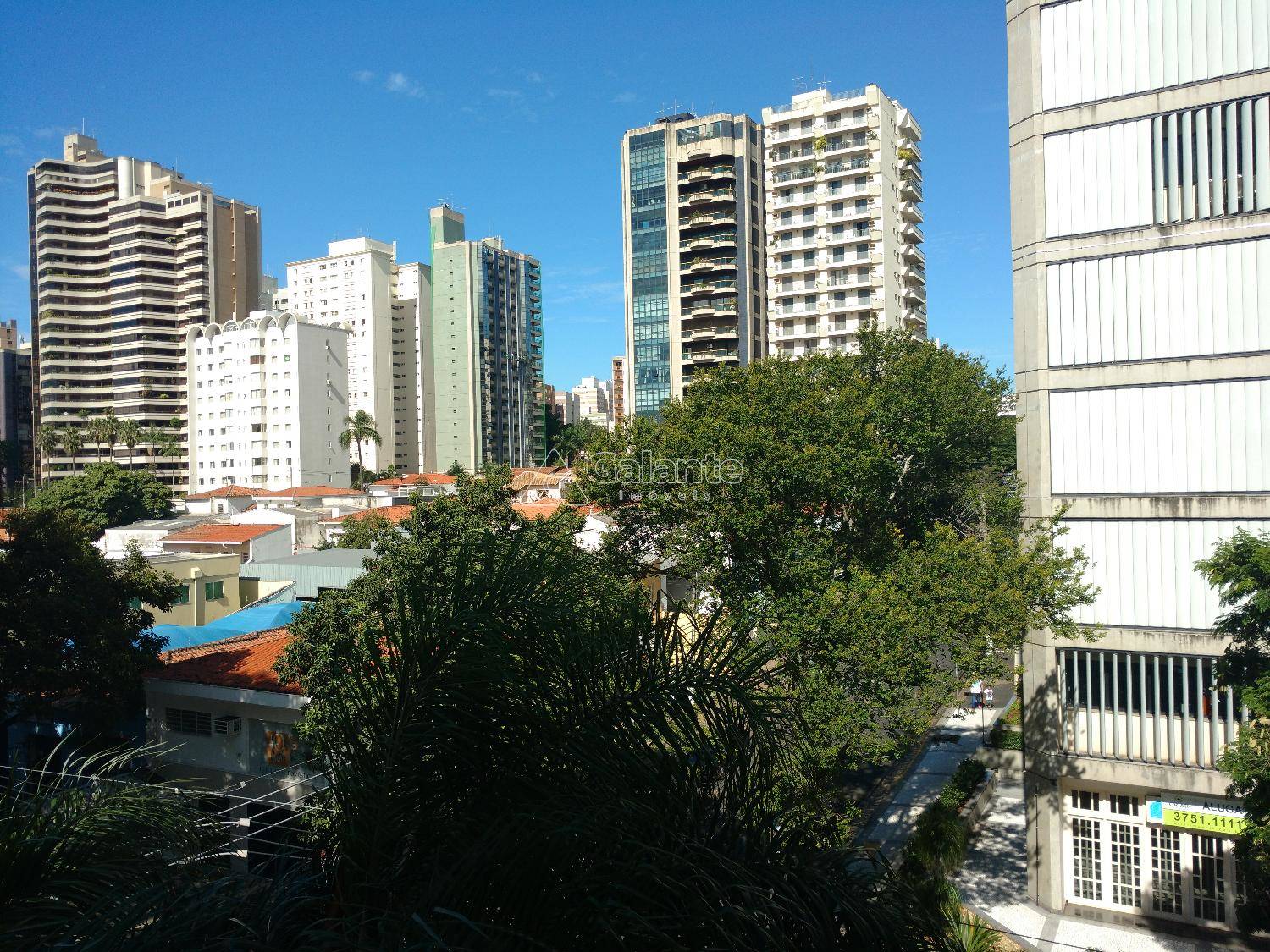 Apartamento em Cambuí, Campinas - Apartamento - Cambuí - Foto 6