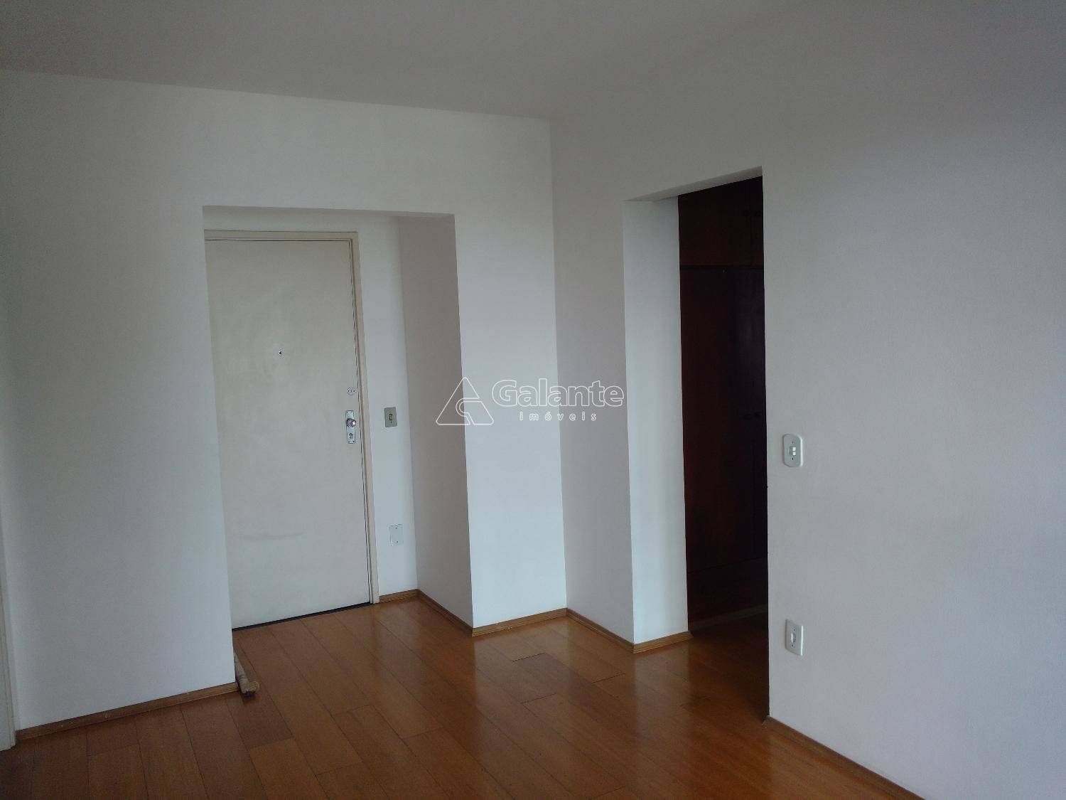 Apartamento em Cambuí, Campinas - Apartamento - Cambuí - Foto 3