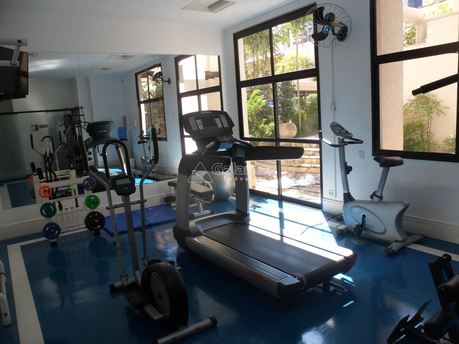 Apartamento em Cambuí, Campinas - Apartamento - Cambuí - Foto 3