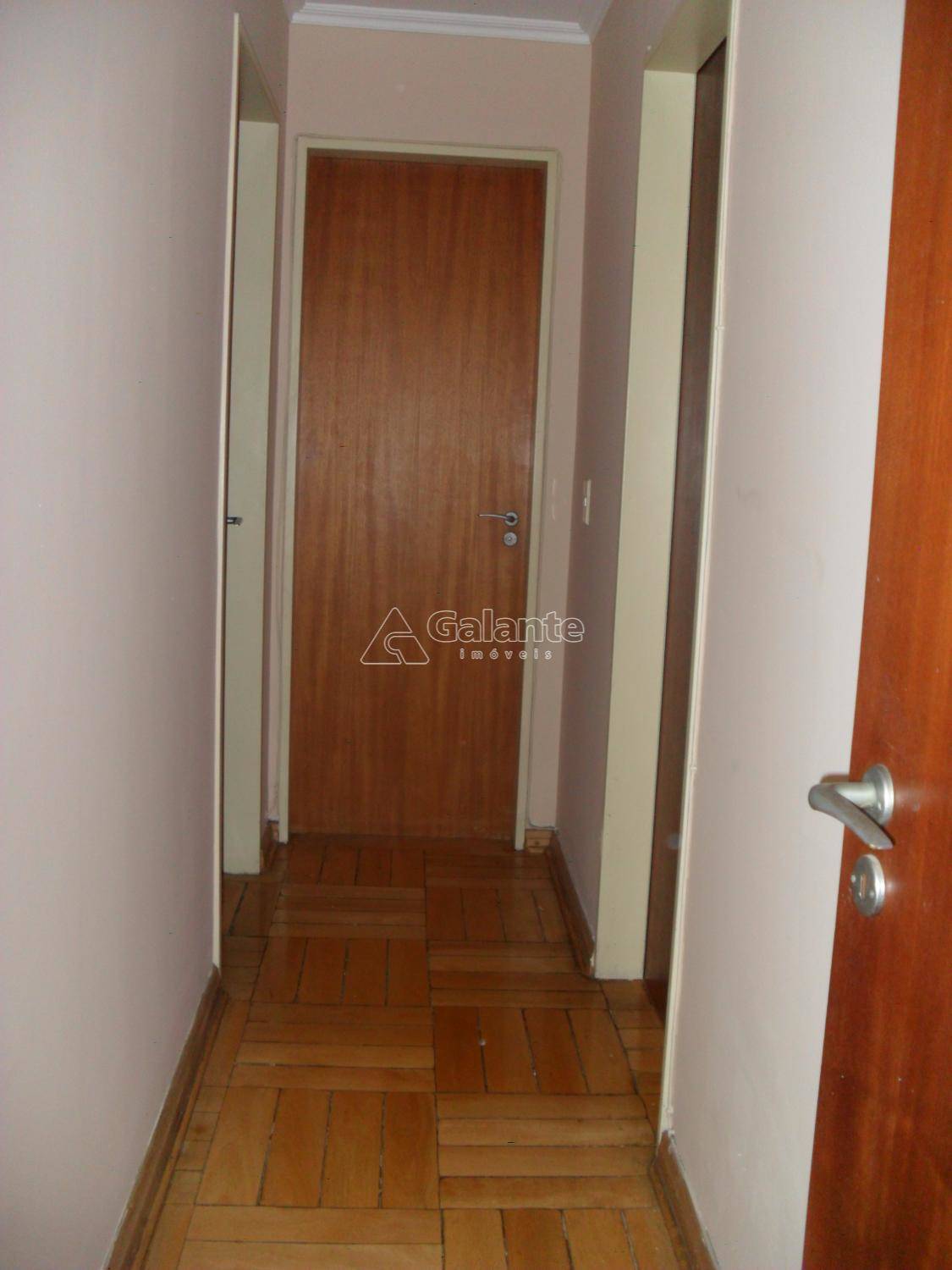 Apartamento em Cambuí, Campinas - Foto 10