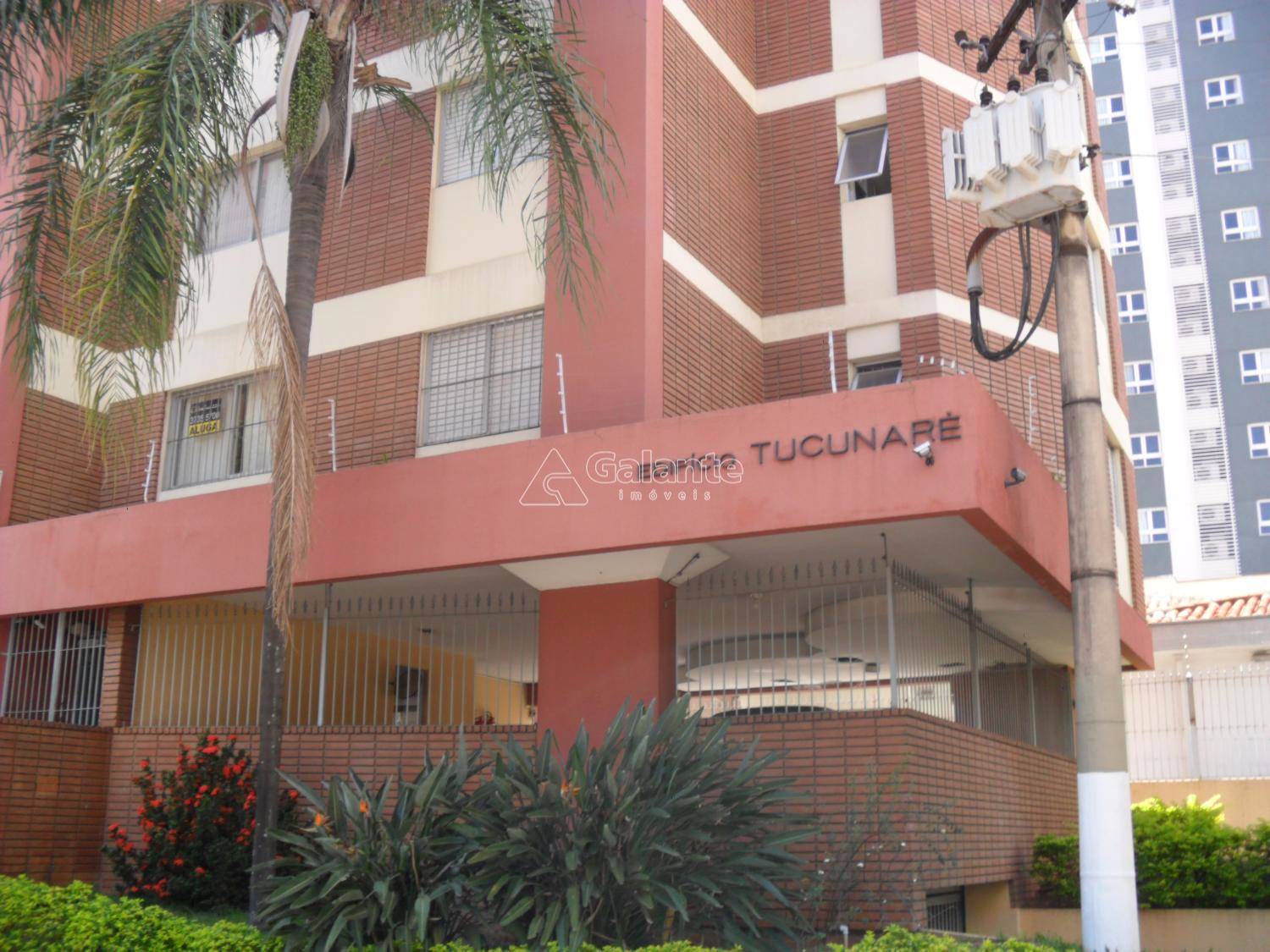 Apartamento em Cambuí, Campinas - Foto 13