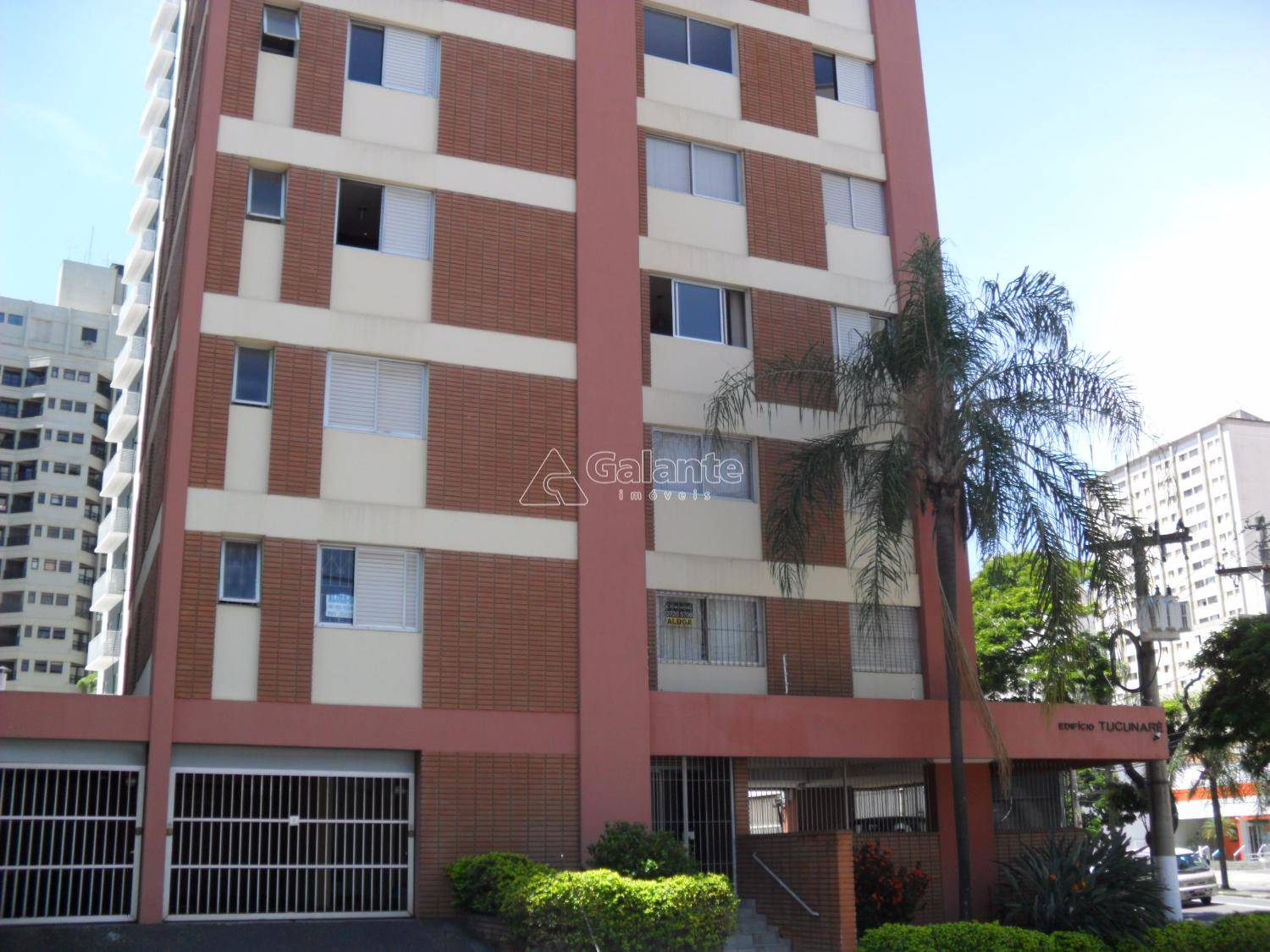 Apartamento em Cambuí, Campinas - Foto 5