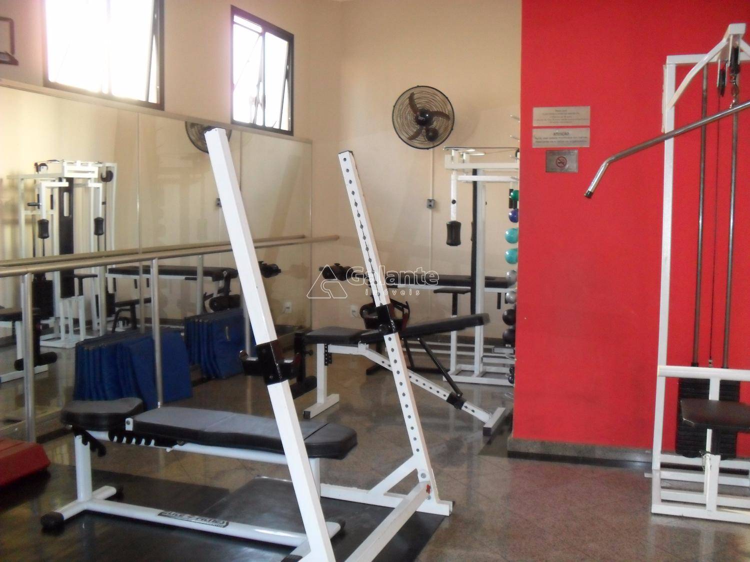 Apartamento em Chácara Primavera, Campinas - Apartamento - Chácara Primavera - Foto 31