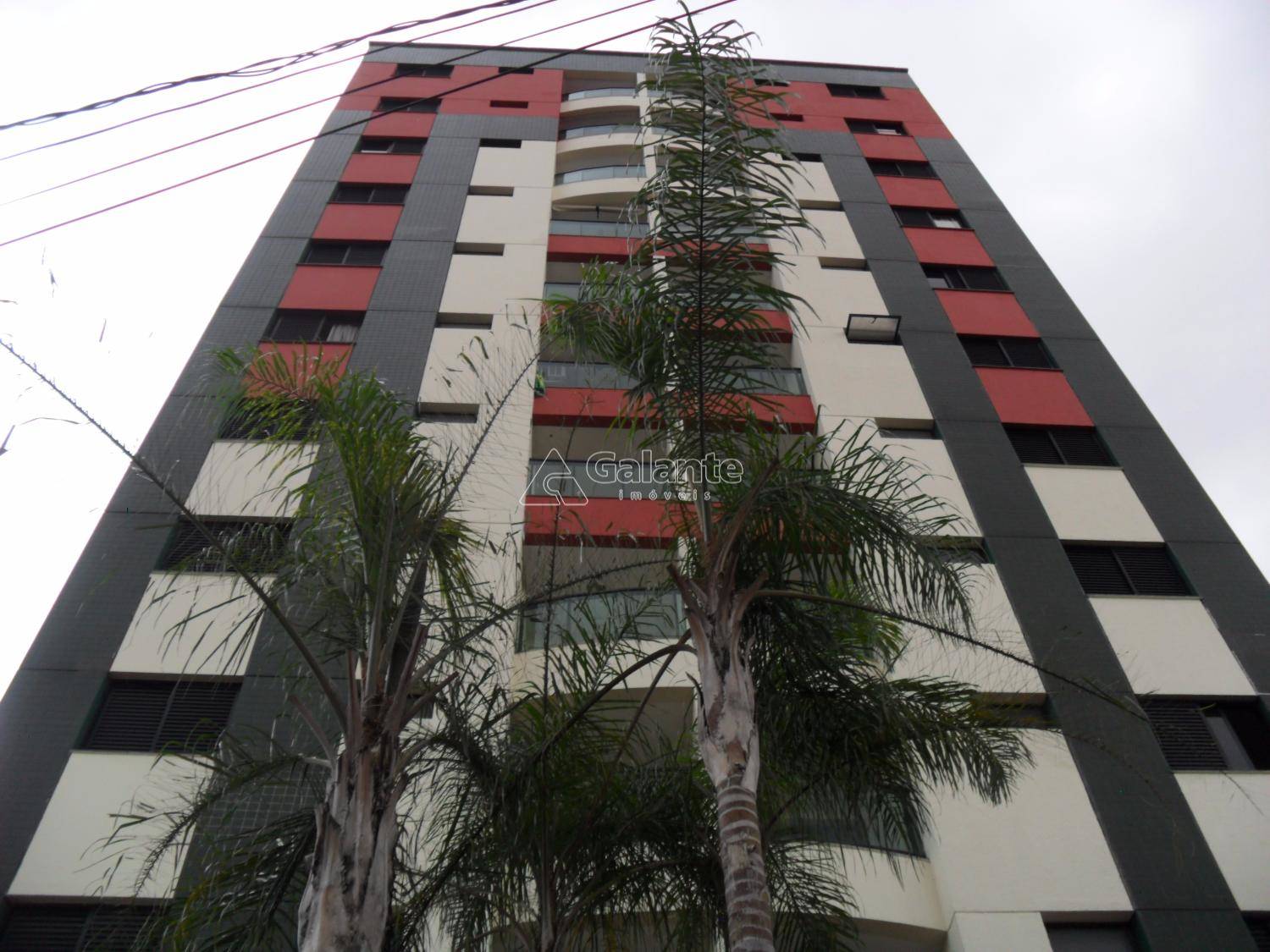 Apartamento em Vila Itapura, Campinas - Apartamento - Vila Itapura - Foto 10