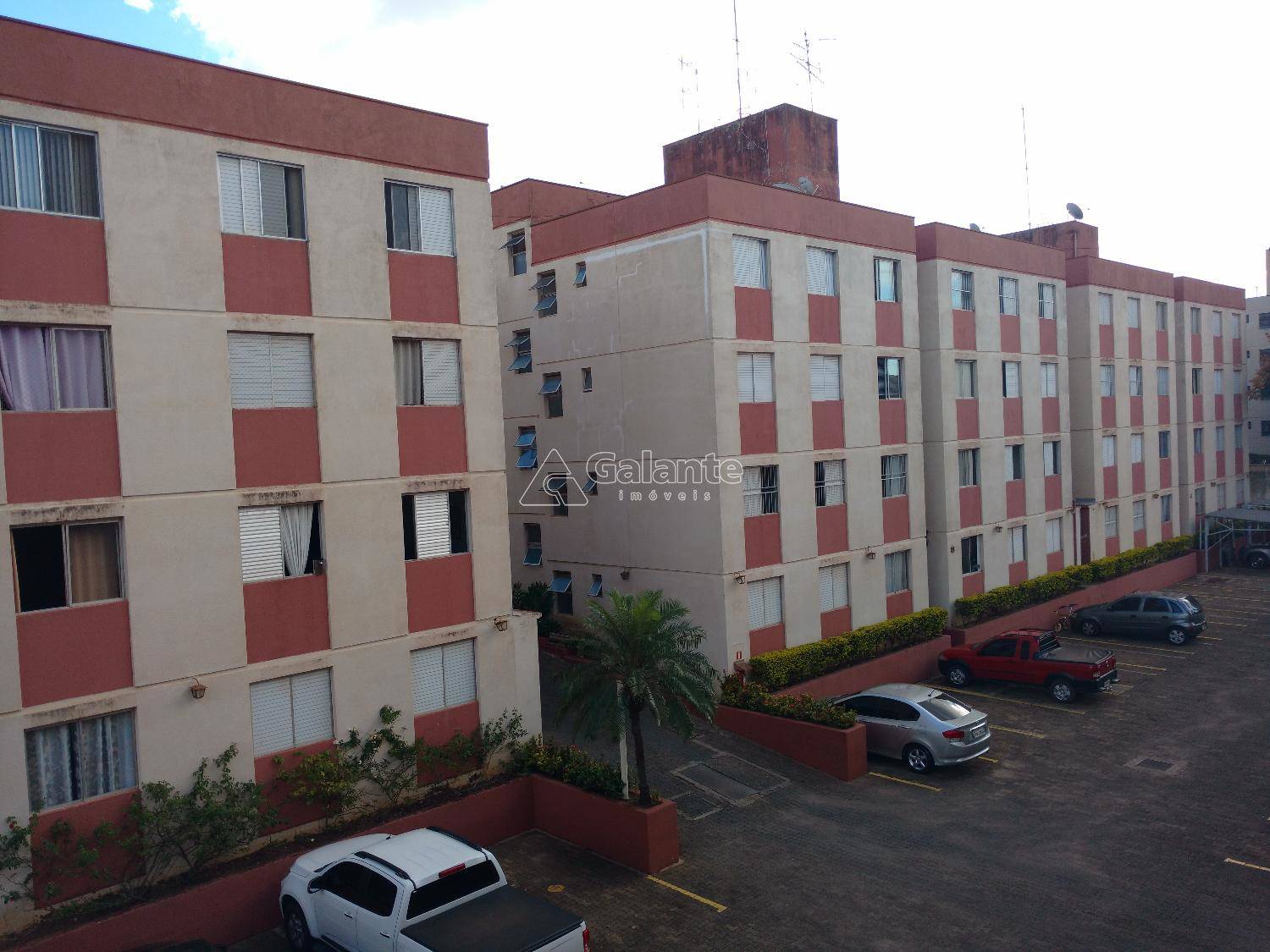 Apartamento em Jardim Ipiranga, Campinas - Apartamento - Jardim Ipiranga - Foto 7