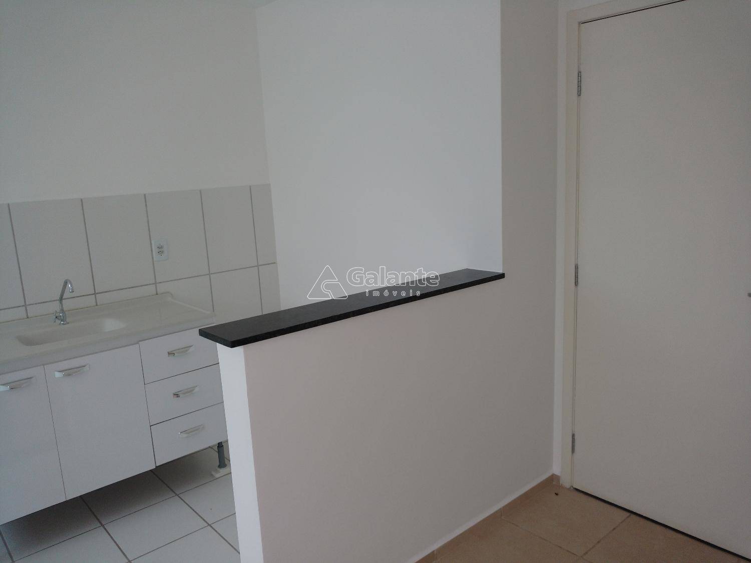 Apartamento em Jardim Nova Europa, Campinas - Apartamento - Jardim Nova Europa - Foto 6